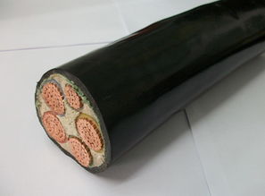 寧夏電線電纜產業概述 銀川電纜廠與區域發展